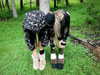 prettys1ckkkk Altpins Profile Picture