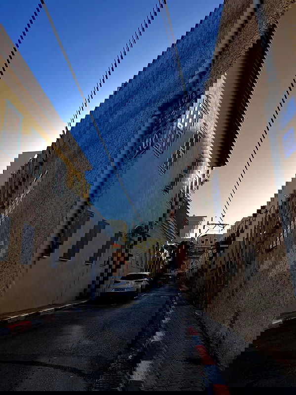 rebecka_tsadok rebecka_tsadok archive image