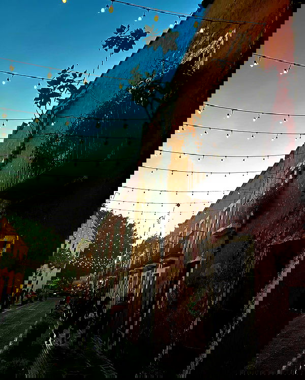 taylor.creeden taylor.creeden archive image