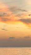 tirtza_cohen Altpins Profile Picture