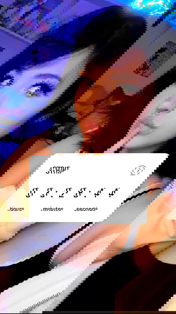 chibinekopurr chibinekopurr archive image