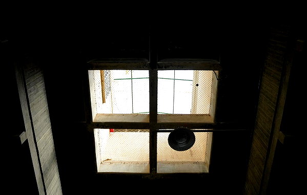 lila.garnik instagram image archive image