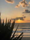 marii.a_v Altpins Profile Picture