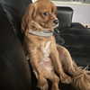 madelame Altpins Profile Picture