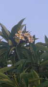avital_1010.2003 Altpins Profile Picture