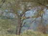 martinagiiuliani Altpins Profile Picture