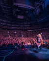 avrillavigne Altpins Profile Picture