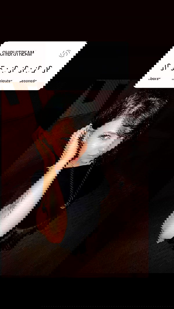 chibinekopurr chibinekopurr archive image