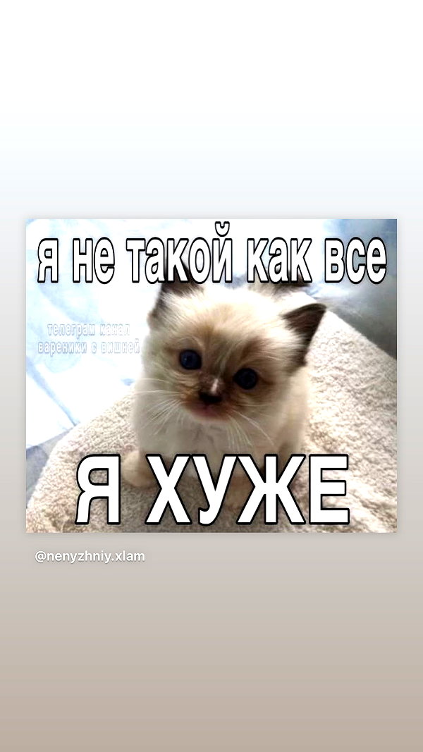 daryanedarya instagram image archive image