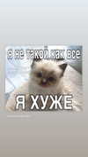 daryanedarya Altpins Profile Picture