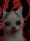 si11yc0rpse Altpins Profile Picture