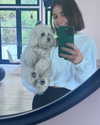 lucyhale Altpins Profile Picture