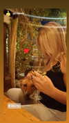 galibilaus Altpins Profile Picture