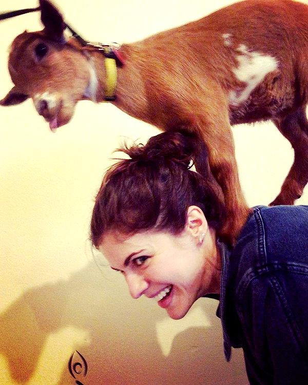 alexandradaddario instagram image archive image