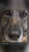 emily_new2 Altpins Profile Picture