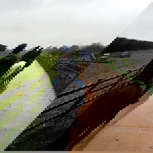 sydney_sweeney sydney_sweeney archive image