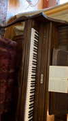 elizabethcampbelljones Altpins Profile Picture