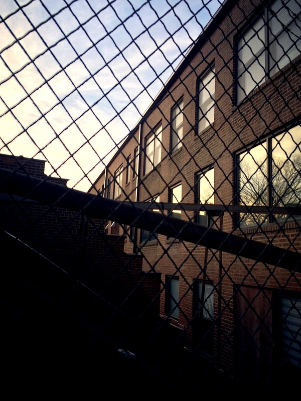 aud6y instagram image archive image