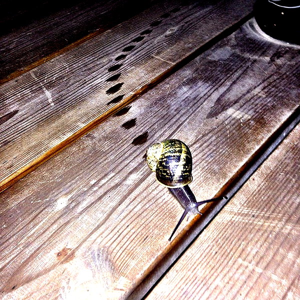 adihimelbloy instagram image archive image