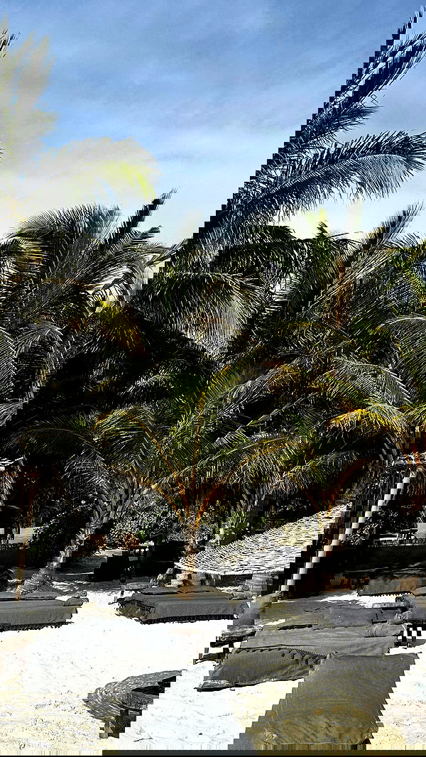 taylor.creeden taylor.creeden archive image