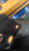 babynympho_archive Altpins Profile Picture