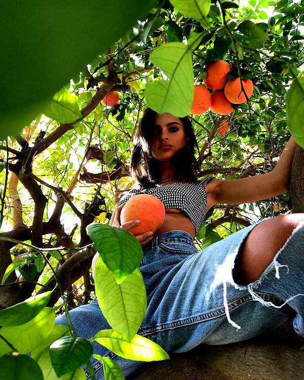 emrata instagram image archive image