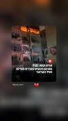 efrat_elmalich Altpins Profile Picture
