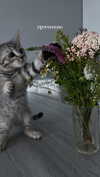 milena_milachich Altpins Profile Picture