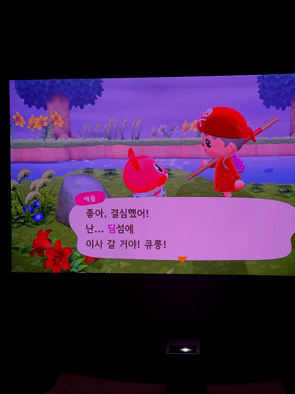 daxbin instagram image archive image