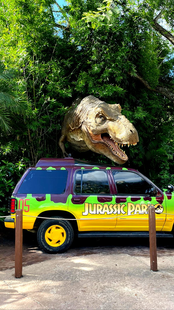shakeddri shakeddri archive image
