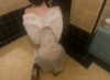 luckyme483 Altpins Profile Picture