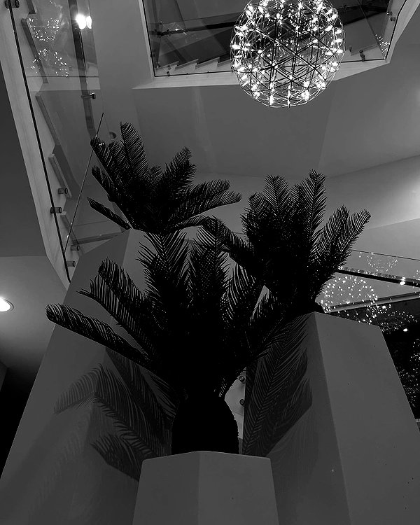 lerkamiill instagram image archive image