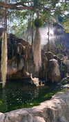 _mashachka_ Altpins Profile Picture