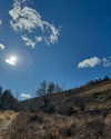 indra0102_ Altpins Profile Picture