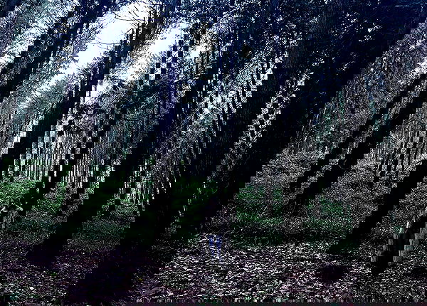 kitty.elliss kitty.elliss archive image