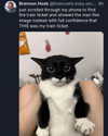 catl0verr69 Altpins Profile Picture