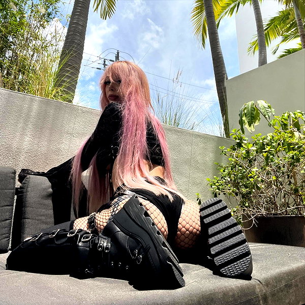 pixelpuppi instagram image archive image