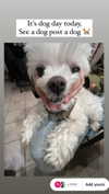 luvstuff3r Altpins Profile Picture
