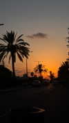 _._dianush._ Altpins Profile Picture
