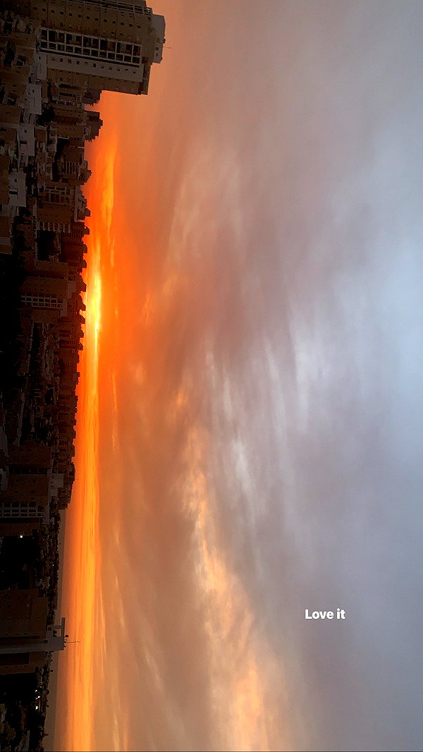 koralsarosi_ archive image