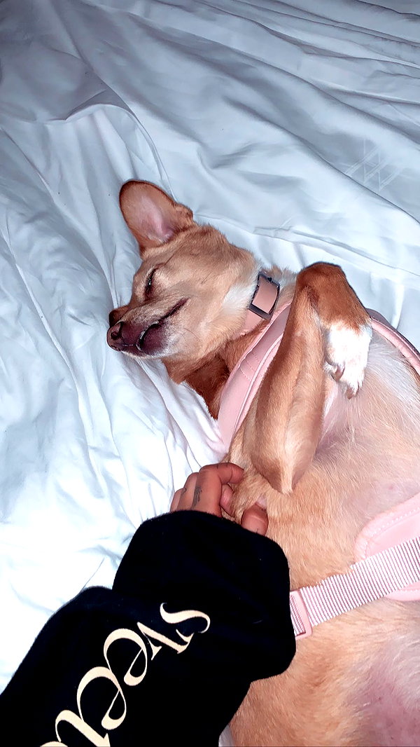 arianagrande instagram image archive image