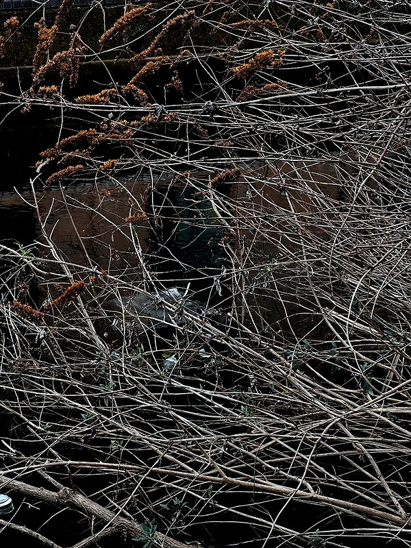 777pb_ instagram image archive image