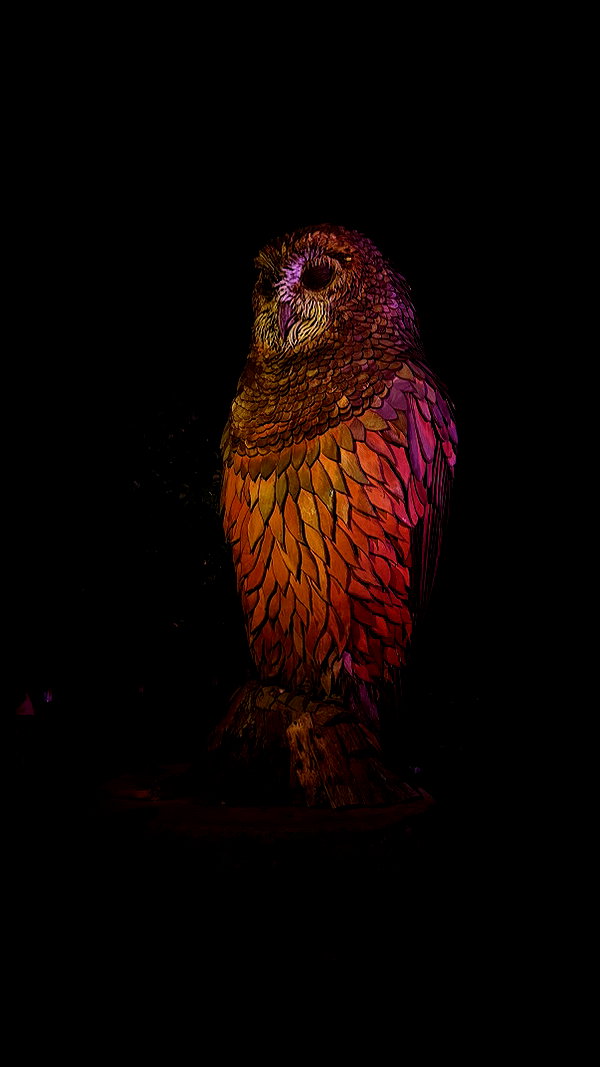 shaharo__._ instagram image archive image