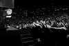 adele Altpins Profile Picture