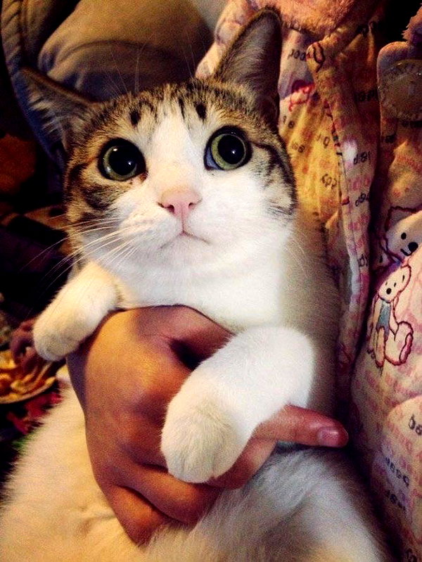 catl0verr69 instagram image archive image