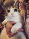 catl0verr69 Altpins Profile Picture