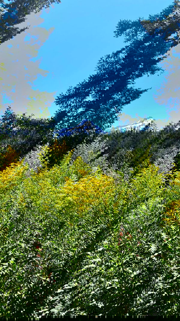 taylor.creeden taylor.creeden archive image