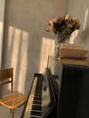aly.revolver Altpins Profile Picture