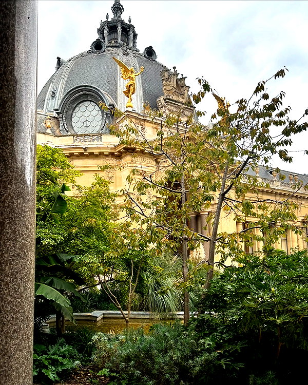 avestanova instagram image archive image