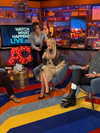 katehudson Altpins Profile Picture